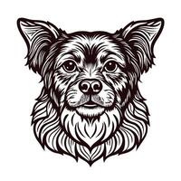 Detailed black and white of a dogs head with fluffy fur and alert expression vector