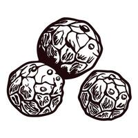 Three hand drawn black peppercorns on white background vector
