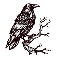 Raven perched on a twisted branch in intricate black and white artwork vector