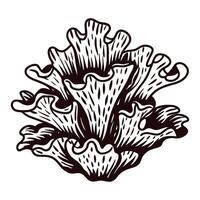 Detailed monochrome of coral structure with intricate patterns vector
