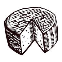 Hand drawn of aged cheese wheel with a cut slice showing texture and patterned rind vector