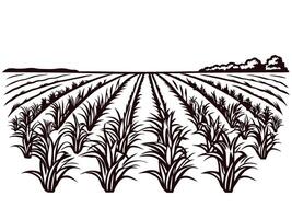 Vast agricultural fields with rows of crops extending to the horizon and rolling hills vector