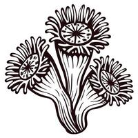Artistic black and white of three stylized flowers with intricate patterns vector