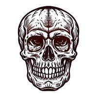 Intricate skull artwork featuring detailed linework against a white background vector