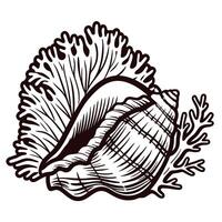 Ornate seashell and coral line art with natural ocean elements vector
