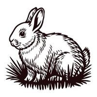 Detailed black and white of a rabbit in natural habitat vector