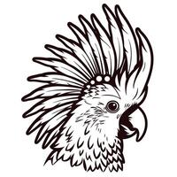 Detailed black and white of a cockatoo with spiky feathers vector