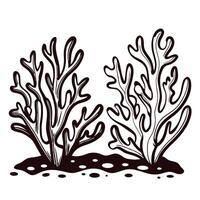 Intricate seaweed design with marine foliage patterns and oceanic theme elements vector