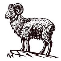 Stylized mountain goat standing on a cliff edge vector