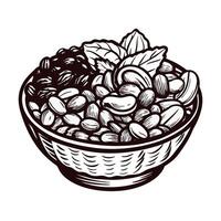 Bowl of mixed nuts with fresh leaves in detailed hand drawn vector