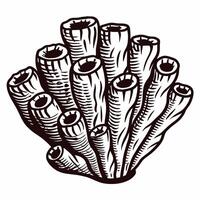 Detailed of a coral reef structure with tube like formations vector