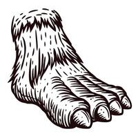 of a mythical creature foot with fur and claws vector