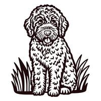 Fluffy dog sitting on grass with shaggy fur and playful expression vector