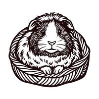 of a guinea pig resting in a cozy wicker basket vector