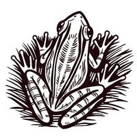 Stylized of a frog in grass with detailed line art vector