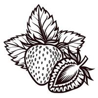 Hand drawn strawberry with leaves in black and white line art design vector