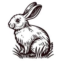 of a rabbit sitting on grass in a detailed black and white sketch vector