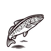 Detailed of a leaping trout in black and white on a minimalist background vector