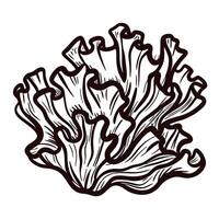 Detailed line art of coral reef structure with intricate patterns and organic shapes in black and white vector