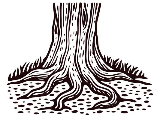 Intricate tree trunk with rustic roots and textured bark pattern on a white background