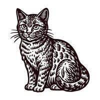Detailed of a sitting cat with intricate fur patterns vector