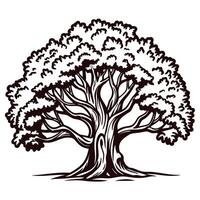 Large leafy tree with intricate branches in black and white vector