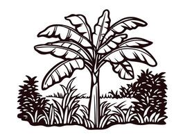 of a lush banana tree in a tropical landscape setting vector