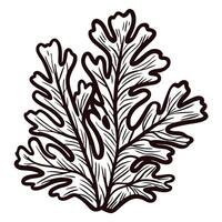 Detailed black and white of seaweed with intricate patterns vector