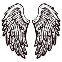 Intricate black and white feathered wings design with a symmetrical layout vector