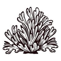 Detailed black and white of a sea coral on white background vector