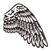 Intricate angel wing with detailed feather patterns in black and white vector