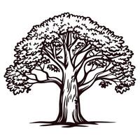 Detailed of a majestic tree with sprawling branches and dense foliage in monochrome art vector