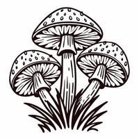 Detailed line art of three mushrooms in natural with grass elements vector