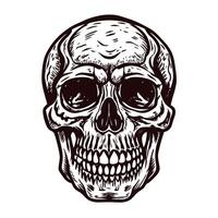 Detailed monochrome skull drawing with intricate patterns and shadows on white background vector