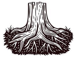 Tree stump with detailed roots on white background vector