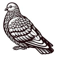 Intricate line art of a pigeon facing left with detailed feather patterns and graceful stance vector