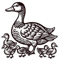 Mother duck with ducklings in detailed hand drawn showing nature and wildlife vector