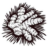 of a creepy hand emerging from darkness with claws and sharp shadows vector