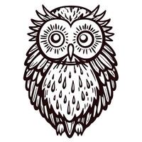 Intricate black and white owl line art with detailed feathers and expressive eyes vector