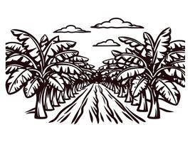Scenic banana plantation landscape with rows of trees under partly cloudy sky vector