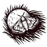 Intricate black and white moth resting on circular orb with radiating lines vector