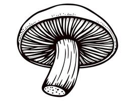 Detailed black and white of a mushroom with emphasized gills and stem vector