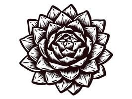 Intricate black and white succulent showcasing vibrant leaf patterns and geometric symmetry vector