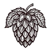 Detailed line art of hop cone with leaves for brewing and botanical design vector