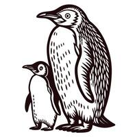 Two penguins standing together with detailed feathers in black and white drawing vector