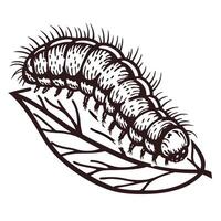 Detailed ink of a caterpillar on a leaf with bold lines vector