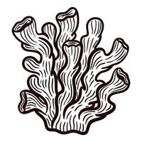 Detailed black and white of coral reef structure vector