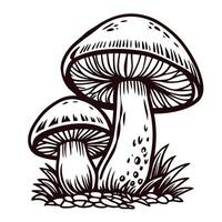Monochrome of two detailed mushrooms with textured patterns and natural elements vector