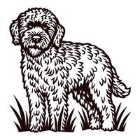 of a fluffy dog standing on grass with a curious expression vector