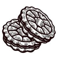 Vintage hand drawn biscuit with intricate detailing and textured design vector